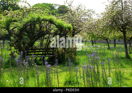 Frühling in Glastonbury Abbey Gardens, Glastonbury, Somerset, Großbritannien Stockfoto