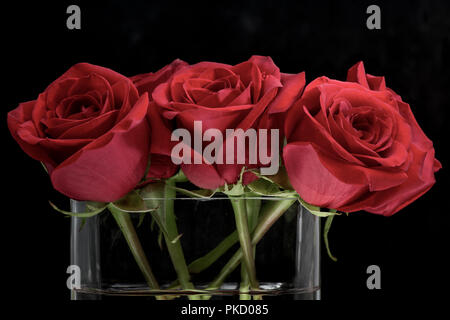 Drei rote Rosen in Glas container Close-up oder Engagement zum Valentinstag Geschenk - Liebe und Romantik Konzepte Stockfoto