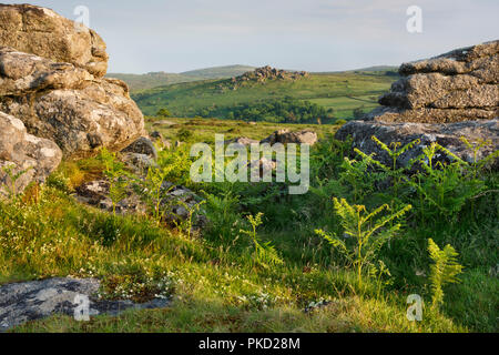 Blick von Hayne, Hound Tor in Dartmoor National Park Stockfoto