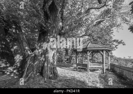 Romantische Pergola unter großen alten Baum Stockfoto