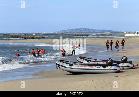 Ausbildung von Rettungsschwimmern im Meer, der rechten Bank, Palavas les Flots, Occitanie Frankreich Stockfoto