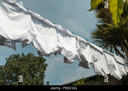 Wäscheservice - weiße Hemden Schuluniform auf Wäscheleine, Großbritannien Stockfoto