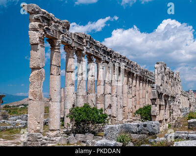 Apamea (auch bekannt als Afamia), der antiken griechischen und römischen Stadt. Der Standort ist in der Nähe von Qalaat al-Madiq, liegt etwa 60 km nordwestlich von Hama, Syrien Stockfoto