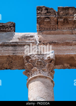 Apamea (auch bekannt als Afamia), der antiken griechischen und römischen Stadt. Der Standort ist in der Nähe von Qalaat al-Madiq, liegt etwa 60 km nordwestlich von Hama, Syrien Stockfoto