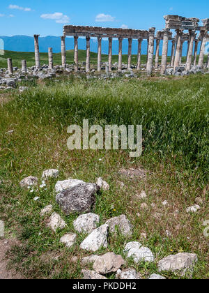 Apamea (auch bekannt als Afamia), der antiken griechischen und römischen Stadt. Der Standort ist in der Nähe von Qalaat al-Madiq, liegt etwa 60 km nordwestlich von Hama, Syrien Stockfoto