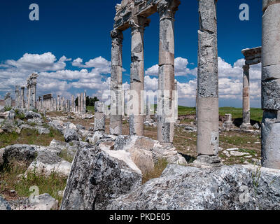 Apamea (auch bekannt als Afamia), der antiken griechischen und römischen Stadt. Der Standort ist in der Nähe von Qalaat al-Madiq, liegt etwa 60 km nordwestlich von Hama, Syrien Stockfoto