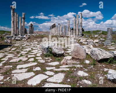 Apamea (auch bekannt als Afamia), der antiken griechischen und römischen Stadt. Der Standort ist in der Nähe von Qalaat al-Madiq, liegt etwa 60 km nordwestlich von Hama, Syrien Stockfoto