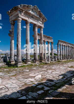 Apamea (auch bekannt als Afamia), der antiken griechischen und römischen Stadt. Der Standort ist in der Nähe von Qalaat al-Madiq, liegt etwa 60 km nordwestlich von Hama, Syrien Stockfoto