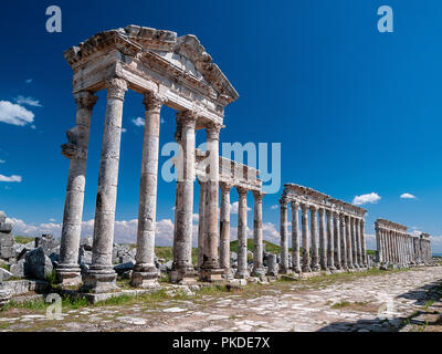 Apamea (auch bekannt als Afamia), der antiken griechischen und römischen Stadt. Der Standort ist in der Nähe von Qalaat al-Madiq, liegt etwa 60 km nordwestlich von Hama, Syrien Stockfoto