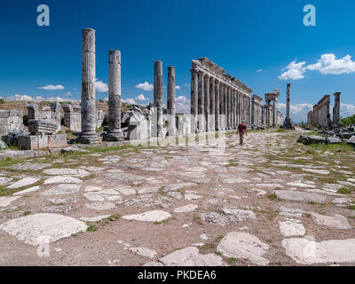 Apamea (auch bekannt als Afamia), der antiken griechischen und römischen Stadt. Der Standort ist in der Nähe von Qalaat al-Madiq, liegt etwa 60 km nordwestlich von Hama, Syrien Stockfoto