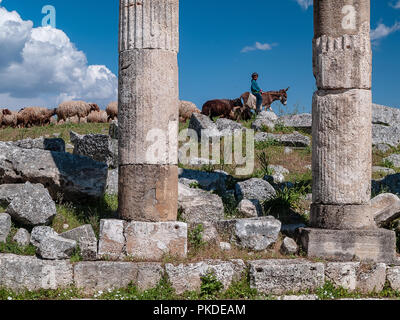 Apamea (auch bekannt als Afamia), der antiken griechischen und römischen Stadt. Der Standort ist in der Nähe von Qalaat al-Madiq, liegt etwa 60 km nordwestlich von Hama, Syrien Stockfoto