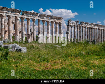 Apamea (auch bekannt als Afamia), der antiken griechischen und römischen Stadt. Der Standort ist in der Nähe von Qalaat al-Madiq, liegt etwa 60 km nordwestlich von Hama, Syrien Stockfoto