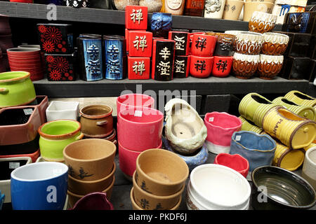 Vielzahl von Sukkulenten und Blumentöpfe für Verkauf bei der Gärtnerei Stockfoto