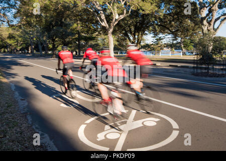 Teilweise verschwommen Radfahrer das Tragen der roten Tops, Hemden zusammen reiten in 30 km Speed Limit, kein Auto Zone in Centennial Park, Sydney, Australien Stockfoto