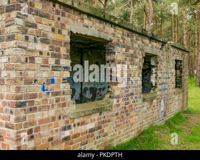 Ruiniert den Zweiten Weltkrieg Backsteinbau, John Muir Country Park im Scots Pine Forest, East Lothian, Schottland, Großbritannien Stockfoto