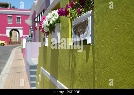 Malay Quarter, Bo-Kaap, Kapstadt, Südafrika. Historischen Bereich von bunt bemalten Häuser im Zentrum der Stadt vor allem durch die muslimische Gemeinschaft bewohnt Stockfoto