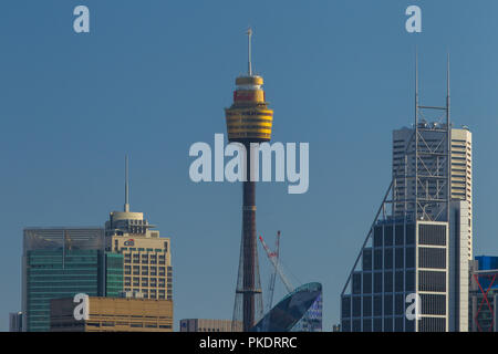 Vom Sydney CBD Skyline in Australien Detail, einschließlich Sydney Tower. Stockfoto