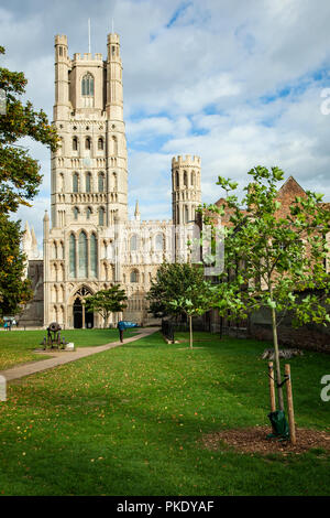 Spätsommer an der Kathedrale von Ely, Cambridgeshire, England. Stockfoto