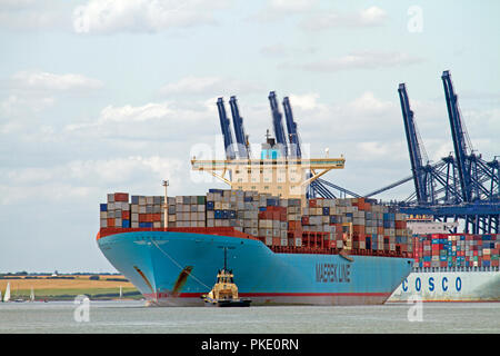 Ein großes Containerschiff der Estelle Maersk bei der Ankunft im Hafen von Felixstowe in Suffolk. Stockfoto