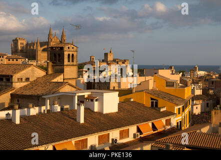 Palma de Mallorca. Dächer der Stadt und die Kathedrale im Abendlicht. Stockfoto