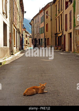 Ginger cat in verlassenen Straße sitzen zwischen charakteristischen vernacular Gebäude mit rustikalen Holzmöbeln Fensterläden in der Ariege Pyrenäen, Frankreich Stockfoto