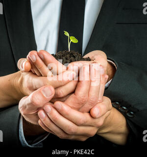 Hohlen Händen von unterschiedlichen Menschen zu schützen, um eine grüne fragile sprießen in fruchtbaren Boden, Konzept der Ökologie und Unternehmen gewachsen. Stockfoto