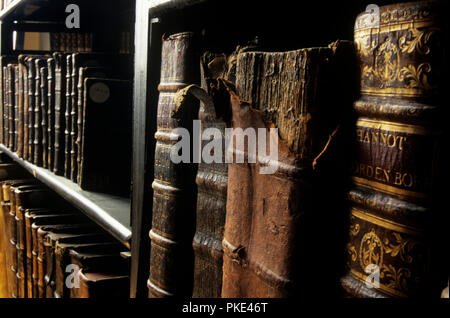 Innerhalb der historischen Bibliothek des Norbertines Abtei "Onze-Lieve-Vrouw" in Tongerlo, Provinz Antwerpen (Belgien, 24.05.2006) Stockfoto