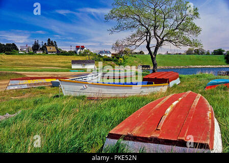 Auf Holz- oder Angeln dories Ruderboote sitzen in einem Feld bei Bailey Island, Maine, USA. Stockfoto