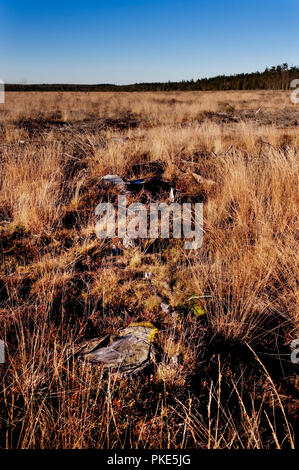 Herbst Impressionen von der breiten Plateau des Hohen Venns um Weismes und dem Signal de Botrange, dem größten Naturschutzgebiet in Belgien (Belgien, 15. Stockfoto