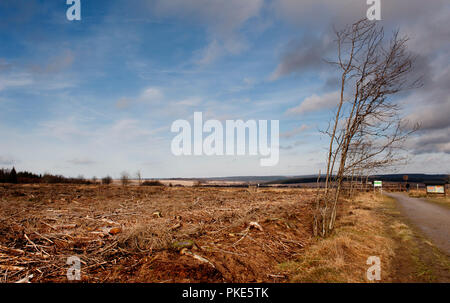 Impressionen von der breiten Plateau des Hohen Venns um Weismes und dem Signal de Botrange, dem größten Naturschutzgebiet in Belgien (Belgien, 23/02/201 Stockfoto