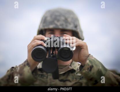 Us-Armee 2. Lt. Billy Ramsey aus D-Unternehmen der New Jersey National Guard, 1.BATAILLON, 114 Infanterie Regiment Punkte Ziele für Soldaten feuern ein Mk19 Granatwerfer während der Ausbildung auf einer gemeinsamen Basis Mc Guire-Dix - Lakehurst, New Jersey, 26. Juli 2018. Stockfoto