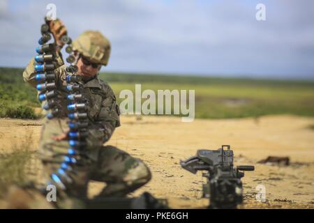 Ein Soldat der US-Armee von D-Unternehmen der New Jersey National Guard, 1.BATAILLON, 114 Infanterie Regiment bereitet eine Mk19 Granatwerfer mit 40 mm M385 Praxis Granaten während der Ausbildung auf einer gemeinsamen Basis Mc Guire-Dix - Lakehurst, New Jersey, 26. Juli 2018 zu laden. Stockfoto