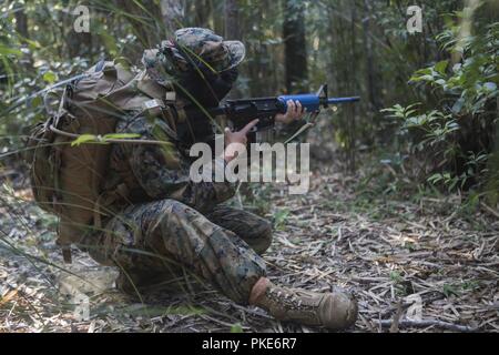 Hospital Corpsman 2. Klasse Kendra L. Tenorio mit Sitz Regiment, 3. Marine Logistik Gruppe, scannt die Gegend während einer Patrouille im Jungle Warfare Training Center, Okinawa, Japan, 26. Juli 2018. Corpsmen einbetten Mit Marine Einheiten medizinische Betreuung während der Übungen und im Kampf Umgebungen zu bieten. Tenorio ist ein Eingeborener von Orange County, Kalifornien. Stockfoto