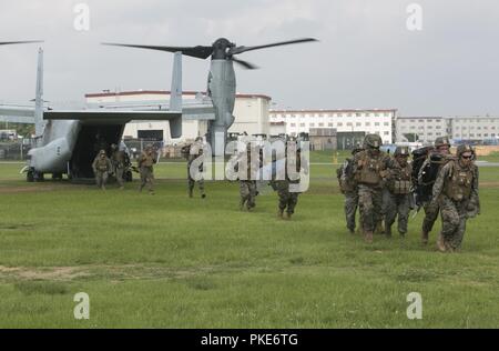 Marines mit Fox Batterie Bataillon Landung Team, 2nd Battalion, 5th Marines, beenden Sie eine MV-22 Osprey B während der on-off-Bohrer in Camp Hansen, Okinawa, Japan, Juli, 26, 2018. Fox Batterie Marines bieten eine Präzision, die Artillerie Feuer Element zu BLT 2/5 der Bodenkampf Element für die 31 Marine Expeditionary Unit. Die Osprey gehört zur Marine Medium Tiltrotor Squadron 262 (verstärkt), die Luft bekämpfen Element für die 31 MEU. Die 31. MEU, das Marine Corps' nur kontinuierlich vorwärts - bereitgestellt MEU, bietet eine flexible Kraft bereit, eine breite Palette von militärischen Opera durchführen Stockfoto