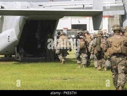 Marines mit Fox Batterie Bataillon Landung Team, 2nd Battalion, 5th Marines, Board eine MV-22 Osprey B während der on-off-Bohrer in Camp Hansen, Okinawa, Japan, Juli, 26, 2018. Fox Batterie Marines bieten eine Präzision, die Artillerie Feuer Element zu BLT 2/5 der Bodenkampf Element für die 31 Marine Expeditionary Unit. Die Osprey gehört zur Marine Medium Tiltrotor Squadron 262 (verstärkt), die Luft bekämpfen Element für die 31 MEU. Die 31. MEU, das Marine Corps' nur kontinuierlich vorwärts - bereitgestellt MEU, bietet eine flexible Kraft bereit, eine breite Palette von militärischen Oper durchzuführen Stockfoto