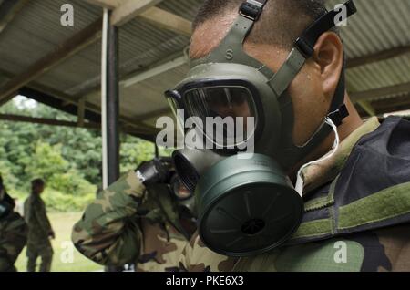 Us-Armee Soldaten mit Charlie Company, 100-Bataillon, 442Nd Infanterie Regiment, US Army Reserve, gelten ihre Gasmasken während der Übung Keris Streik, Juli 24, 2018, Camp Senawang, Malaysia. Malaysische und US-Soldaten wurden gemeinsam die auf grundlegende Dekontaminierungsverfahren unterrichten und trainieren. Stockfoto