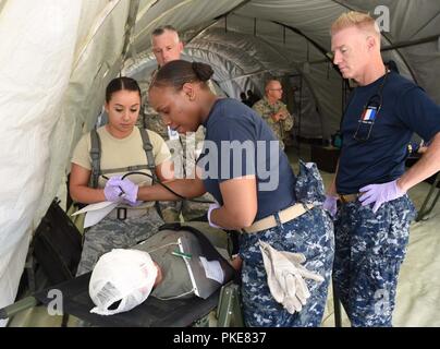 Militärisches Personal ein Patient während einer Messe Unfallversicherung Übung an der Naval Air Station Fort Worth gemeinsame Reserve Base, Texas, 28. Juli 2018 bewerten. Das Ziel der Übung ist es, wichtige medizinische Kenntnisse und Verfahren, die bei der Mobilisierung sind unerlässlich, um zu üben. Personal aus dem 301 Fighter Wing medizinische Squadron, Emergency Medical Service Dallas Fort Worth 1, NAS JRB Feuerwehr, Marine Air Control Squadron 24, MedStar und Texas Flügel der Gruppe VI Civil Air Patrol nahm an der Veranstaltung teil. Stockfoto