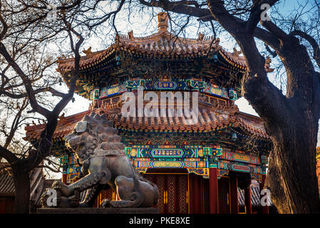 Chinesischen Guardian Lion am Lama Tempel, Dongcheng District, Beijing, China Stockfoto