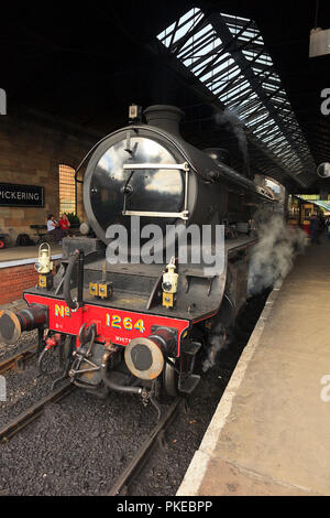 NYMR Dampflok Nr. 1264 stehen in Pickering Station Stockfoto