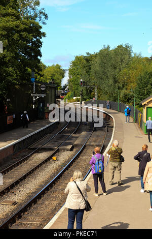 NYMR Dampflok runden der ersten Kurve nähert sich Pickering Station Stockfoto