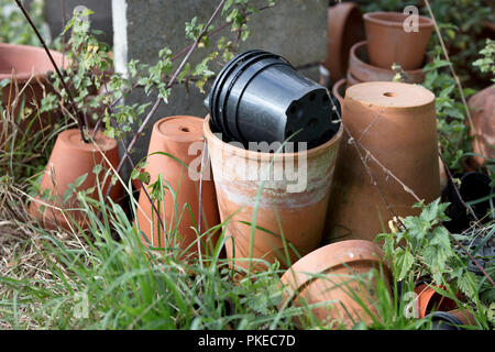 Blumentöpfe im Garten, West Sussex, Großbritannien Stockfoto