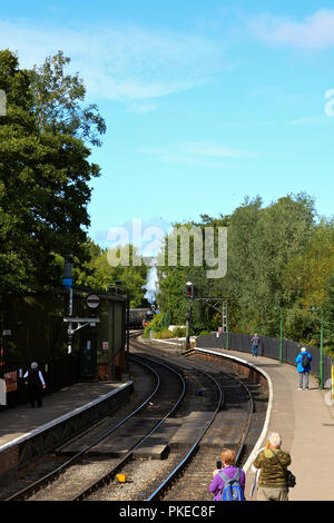 NYMR Dampflok runden der ersten Kurve nähert sich Pickering Station Stockfoto