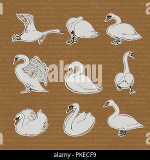 Hand gezeichnet Schwänen in unterschiedlichen Posen für Ihr Design. Swan Aufkleber auf Handwerk Papier Hintergrund isoliert. Stock Vektor