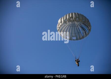 Eine britische Fallschirmjäger steigt auf Schloss Drop Zone bei Leapfest an der Universität von Rhode Island, West Kingston, R.I., Aug 5, 2018. Leapfest ist der größte und am längsten bestehende, internationale statische Linie Fallschirm Training und Wettbewerb veranstaltet vom 56. Truppe den Befehl, Rhode-Island Army National Guard hohen Niveau zu fördern technische und Korpsgeist innerhalb der internationalen Gemeinschaft in der Luft. Stockfoto