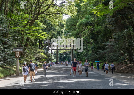 Torii am Eingang des bewaldeten Weg durch Yoyogi Park der Meiji-schrein in Harajuku und Omotesando in Tokios Shibuya ward. Stockfoto