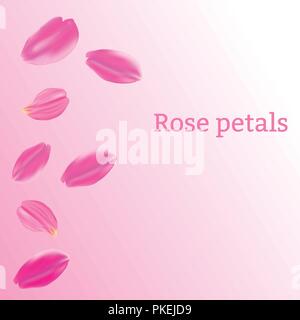 Vector Illustration. Satz von rosa Rosenblüten auf einem rosa Hintergrund Stock Vektor