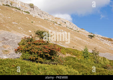 Die Kalkfelsen der Eglwyseg Escarpment über dem Tal von Llangollen, Wales, Großbritannien Stockfoto