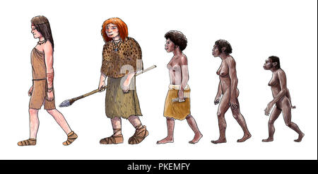 Die menschliche Evolution digitale Illustration, Homo erectus, Australopithecus, sapiens Stockfoto