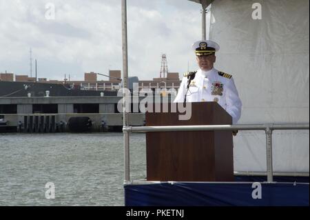 NORFOLK, Virginia (Aug. 1, 2018) Kapitän Martin Muckian, die eingehenden Kommandant des U-Boots Squadron Six, Adressen Gäste bei einem Befehl Zeremonie an Bord der Virginia-Klasse Angriffs-U-Boot USS Washington (SSN787) in Norfolk, Virginia Muckian entlastet Kapitän Carl Hartsfield als Kommandant, Submarine Squadron Six. Stockfoto