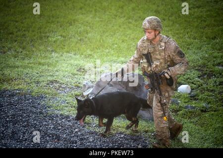 Senior Airman Nickolas Dravus, 822 d Base Defense Squadron militärischen Gebrauchshund (MWD) Handler und MWD 'Herkules' Suche für simulierte Improvised Explosive Devices (IED), 25. Juli 2018, bei Moody Air Force Base, Ga Flieger von der 820th Base Defense Group in einem full mission Profil Übung teilgenommen zu verbessern Ihre counter IED Fähigkeiten vor eine Bewertung in einem der kommenden Mission Bereitschaft Übung. Stockfoto